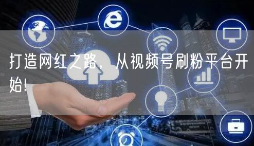 打造网红之路，从视频号刷粉平台开始!