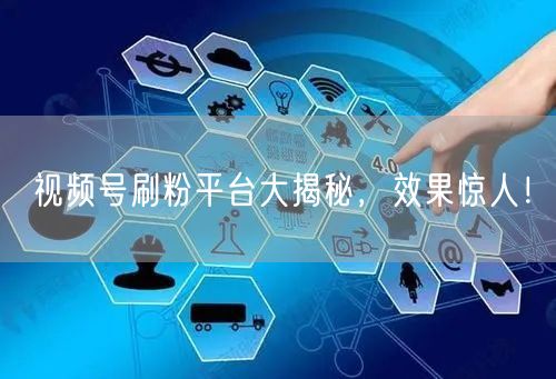 视频号刷粉平台大揭秘，效果惊人！
