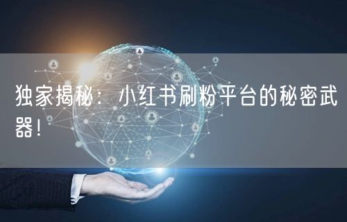 独家揭秘：小红书刷粉平台的秘密武器！