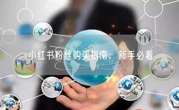 小红书粉丝购买指南：新手必看