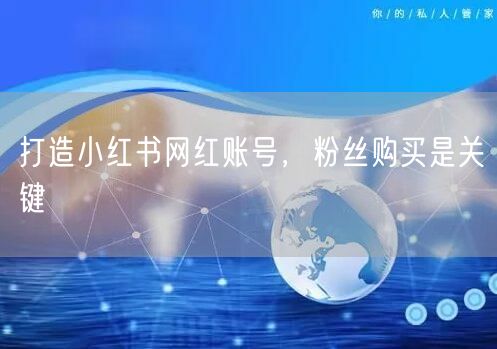 打造小红书网红账号，粉丝购买是关键