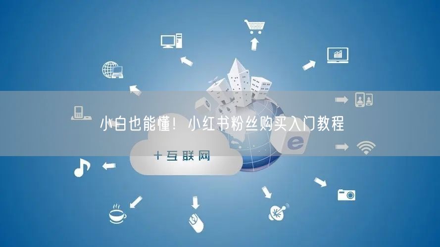 小白也能懂！小红书粉丝购买入门教程