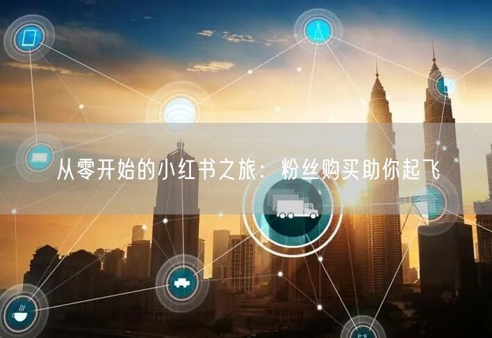从零开始的小红书之旅：粉丝购买助你起飞