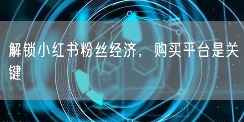 解锁小红书粉丝经济，购买平台是关键