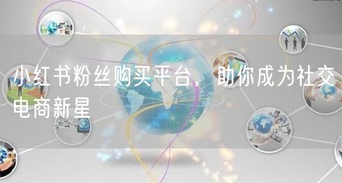 小红书粉丝购买平台，助你成为社交电商新星