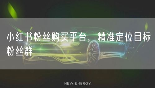 小红书粉丝购买平台，精准定位目标粉丝群