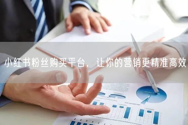 小红书粉丝购买平台，让你的营销更精准高效
