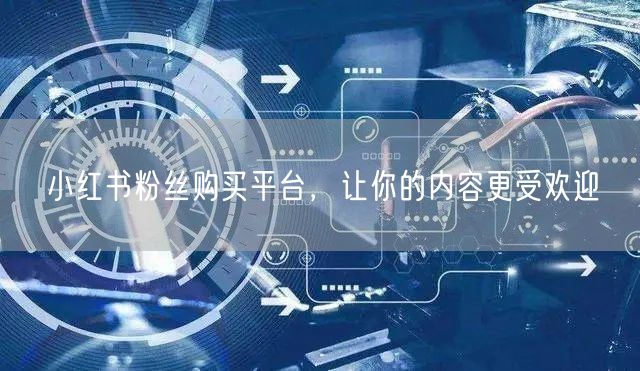 小红书粉丝购买平台，让你的内容更受欢迎