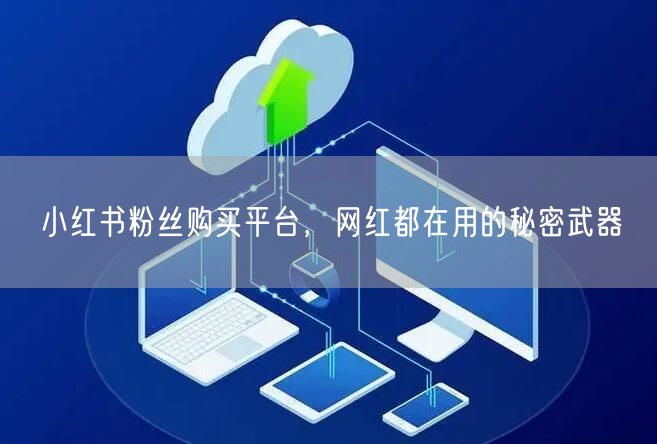 小红书粉丝购买平台，网红都在用的秘密武器