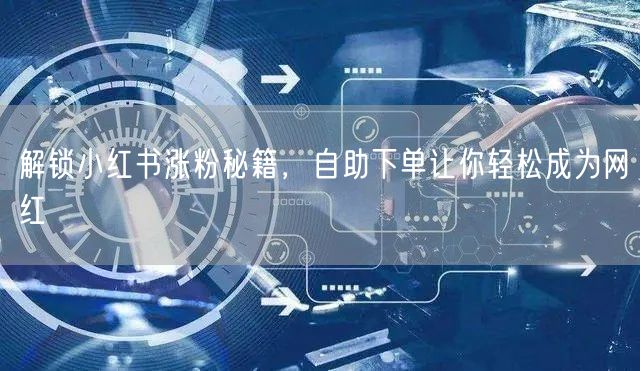 解锁小红书涨粉秘籍，自助下单让你轻松成为网红