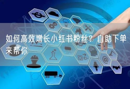如何高效增长小红书粉丝？自助下单来帮你