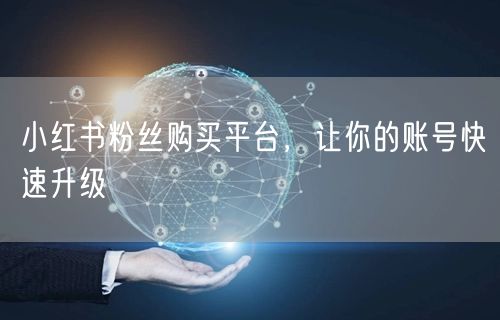小红书粉丝购买平台，让你的账号快速升级