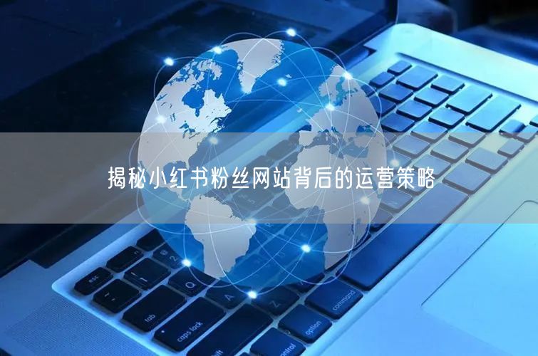 揭秘小红书粉丝网站背后的运营策略