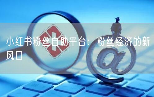 小红书粉丝自助平台：粉丝经济的新风口