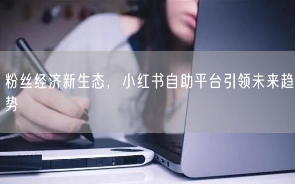 粉丝经济新生态，小红书自助平台引领未来趋势