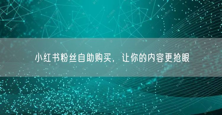 小红书粉丝自助购买，让你的内容更抢眼