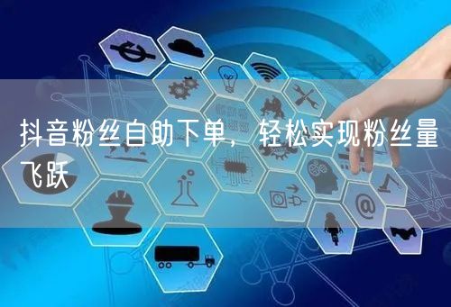 抖音粉丝自助下单，轻松实现粉丝量飞跃