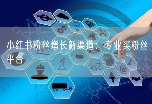 小红书粉丝增长新渠道：专业买粉丝平台