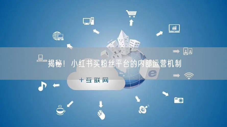 揭秘！小红书买粉丝平台的内部运营机制