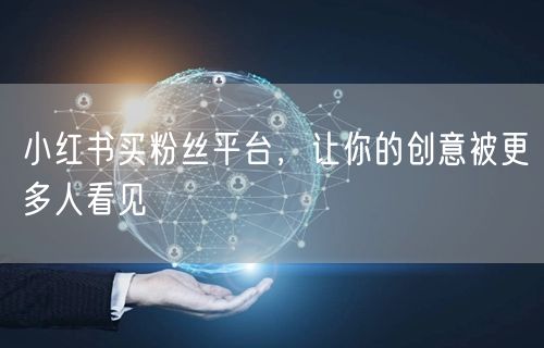 小红书买粉丝平台，让你的创意被更多人看见