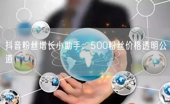 抖音粉丝增长小助手：500粉丝价格透明公道
