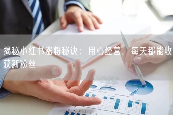 揭秘小红书涨粉秘诀：用心经营，每天都能收获新粉丝